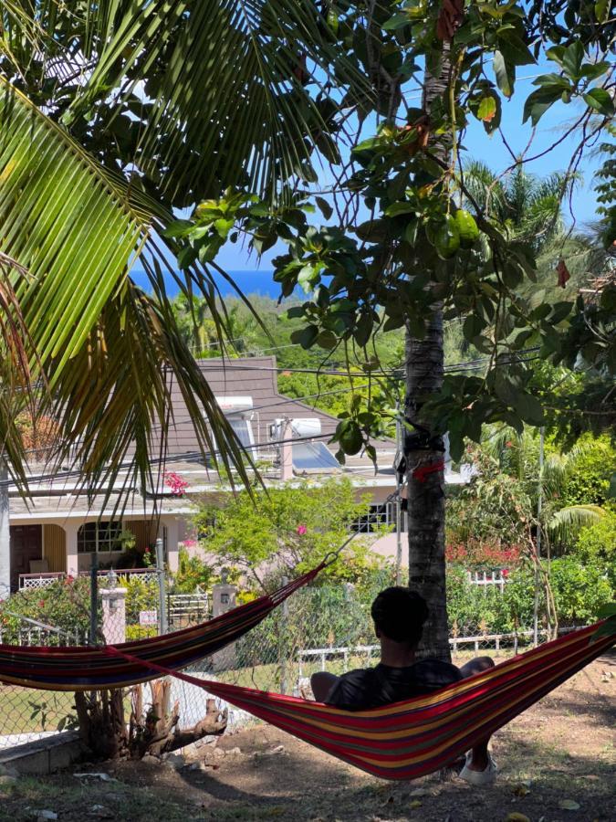 The Lodge @ Peaceful Palms Montego Bay Eksteriør bilde