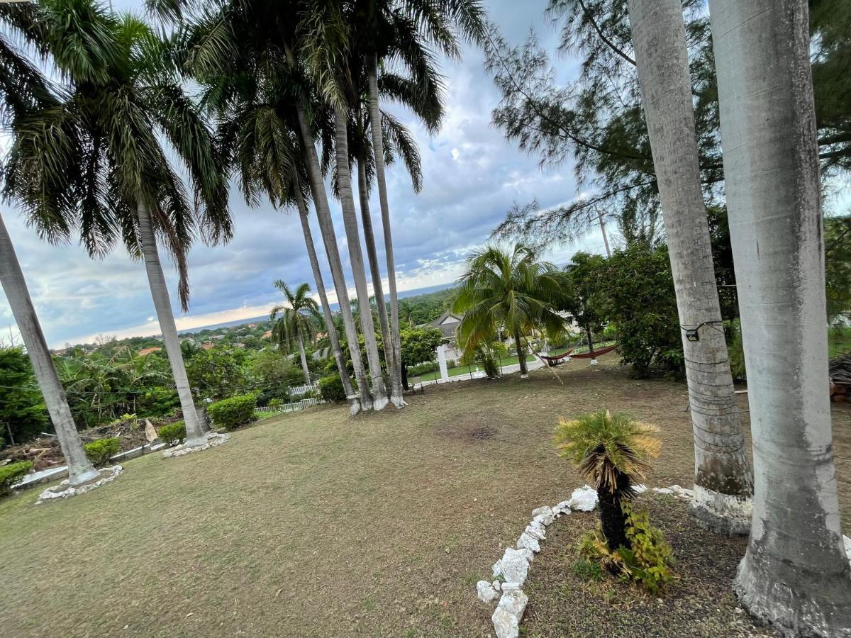 The Lodge @ Peaceful Palms Montego Bay Eksteriør bilde