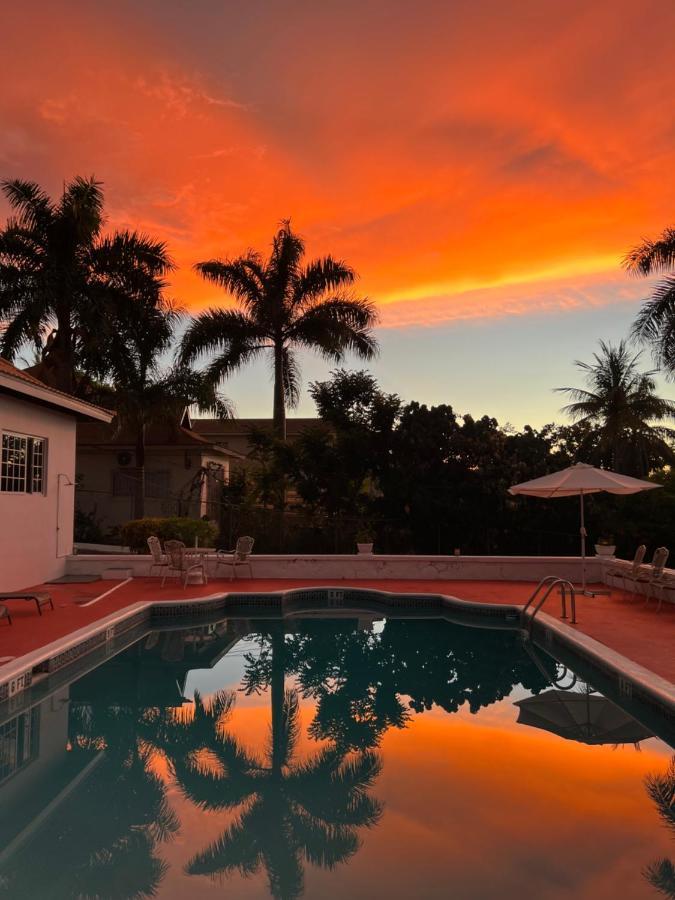 The Lodge @ Peaceful Palms Montego Bay Eksteriør bilde